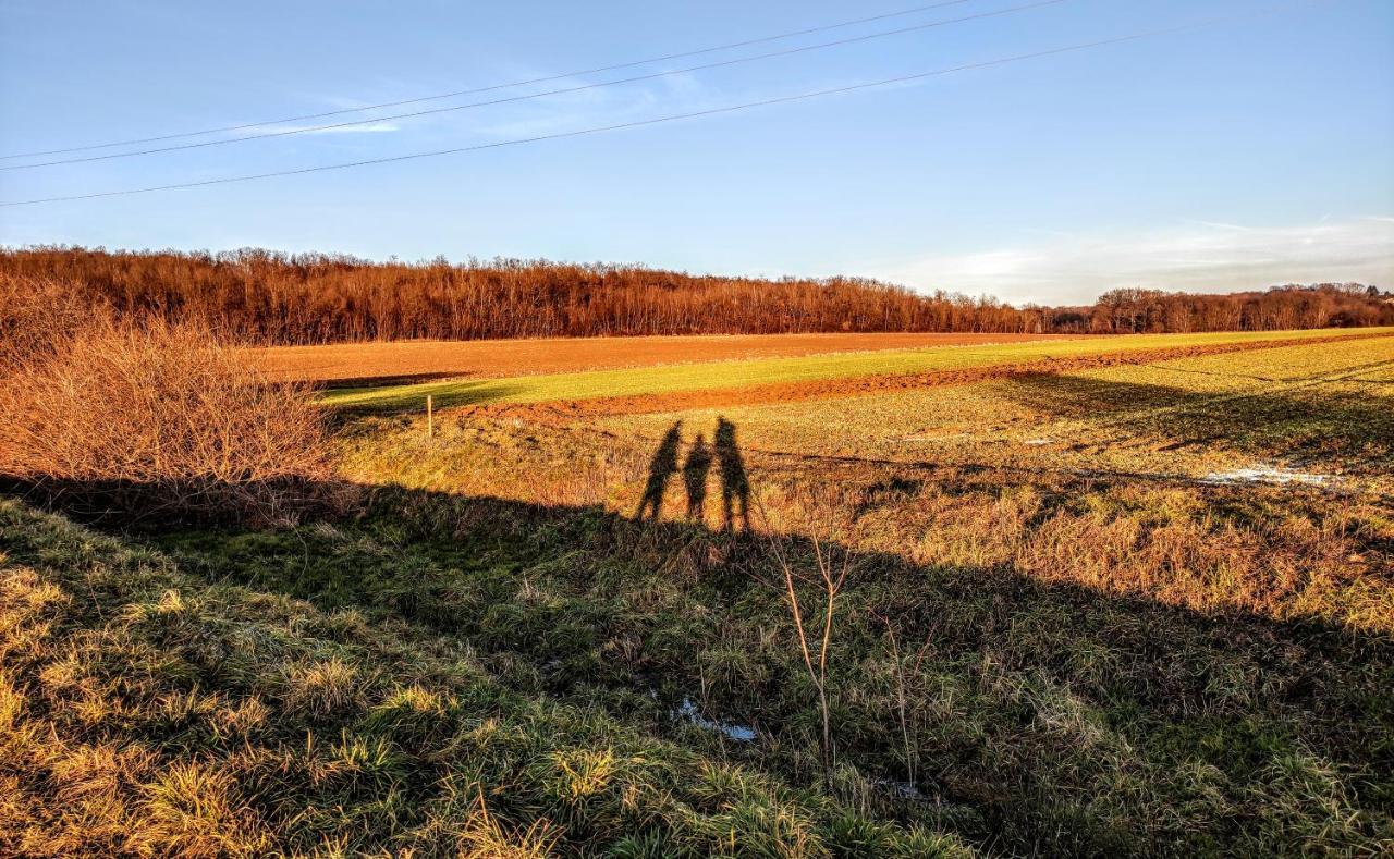 Apartma Max Moravske Toplice Exteriér fotografie